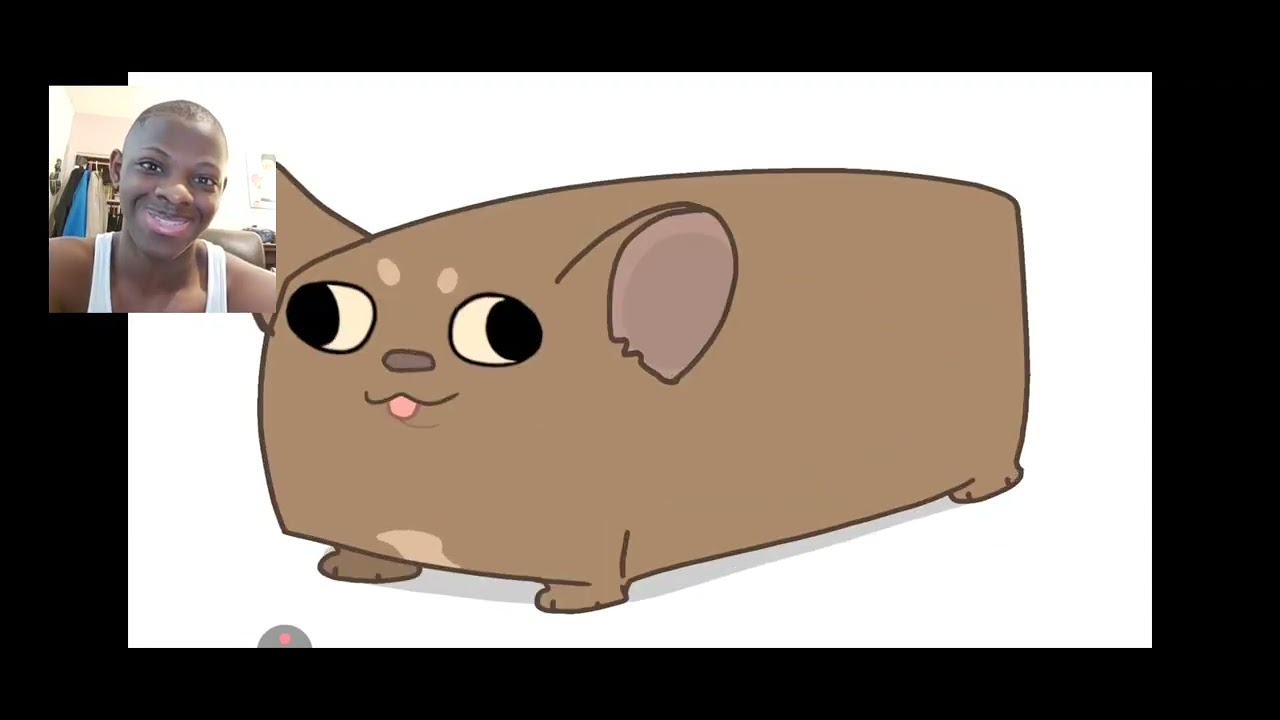 We are learning about BB dog pumpkin