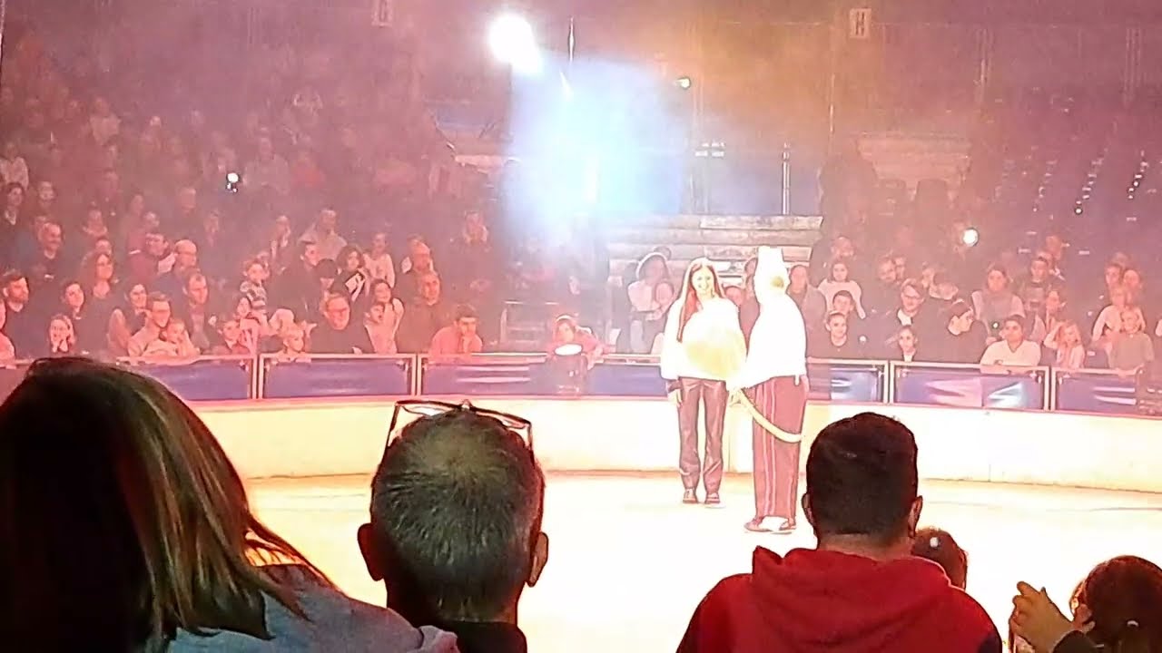 la grande fête lilloise du cirque 2022