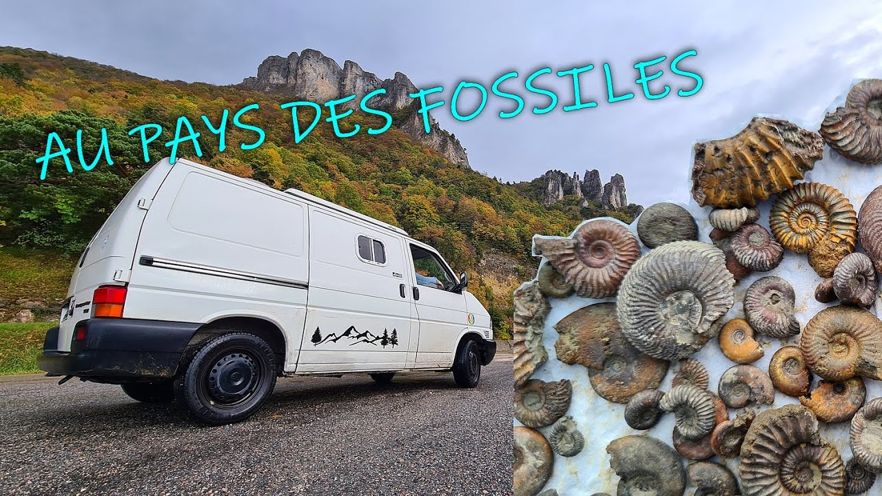 De magnifiques ammonites pour notre premier arrêt du road trip de la Toussaint!!