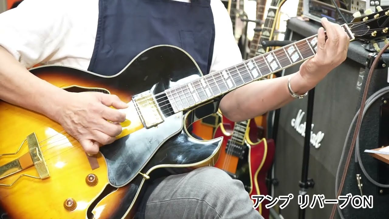 忙しい人の為のギター紹介動画 Burny RFA-65　#shorts