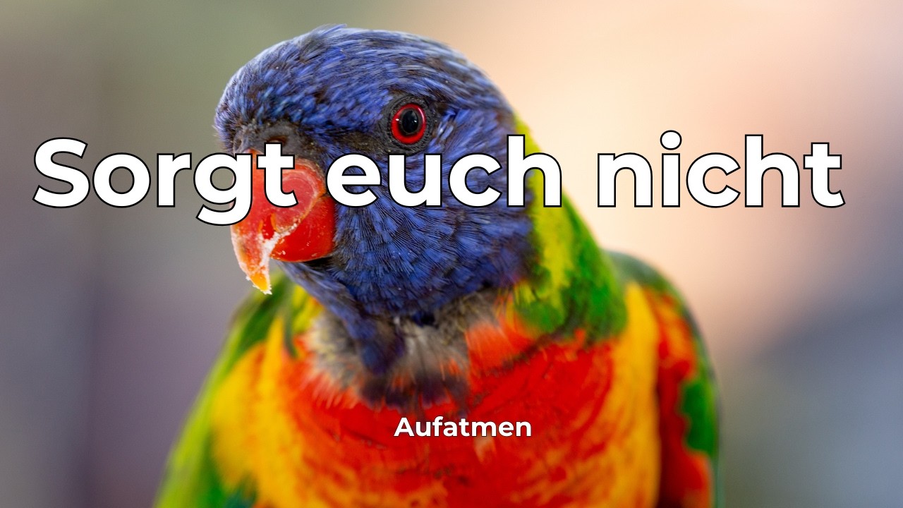 Sorgt euch nicht | Mt 6,26–34 | Lobpreis Reggae Deutsch | Aufatmen