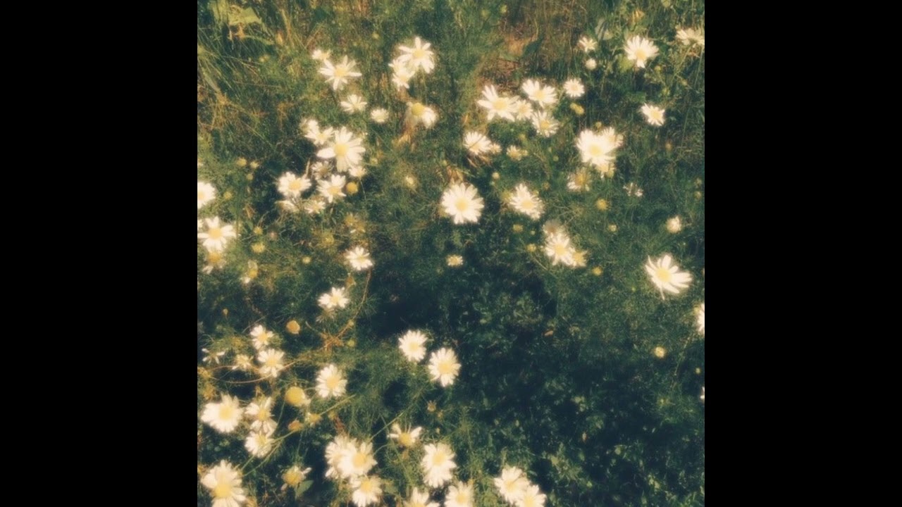 *free* untiljapan + izayatiji + sgpwes + ambient type beat 