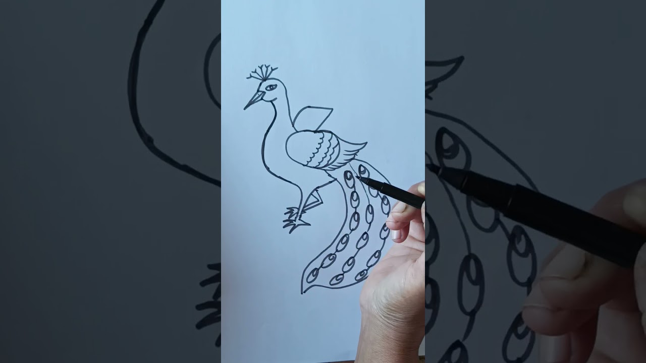 How to draw beautiful and easy peacock🦚 with 3