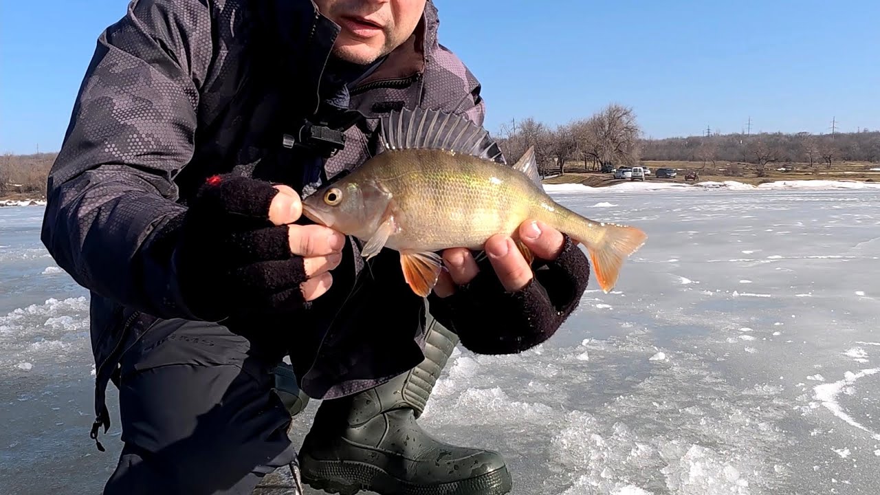 Я НЕ ОЧІКУВАВ ТАКОГО в перший день весни! Закриття сезону 2026 по окуню 🐟
