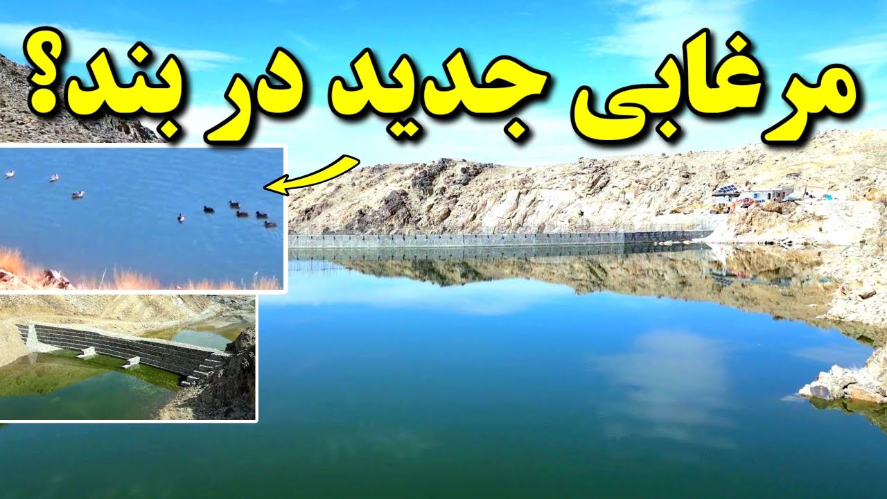 مرغابی جدید در بند همبستگی! | گزارش تازه آبگیری بند سنگجوی لومان