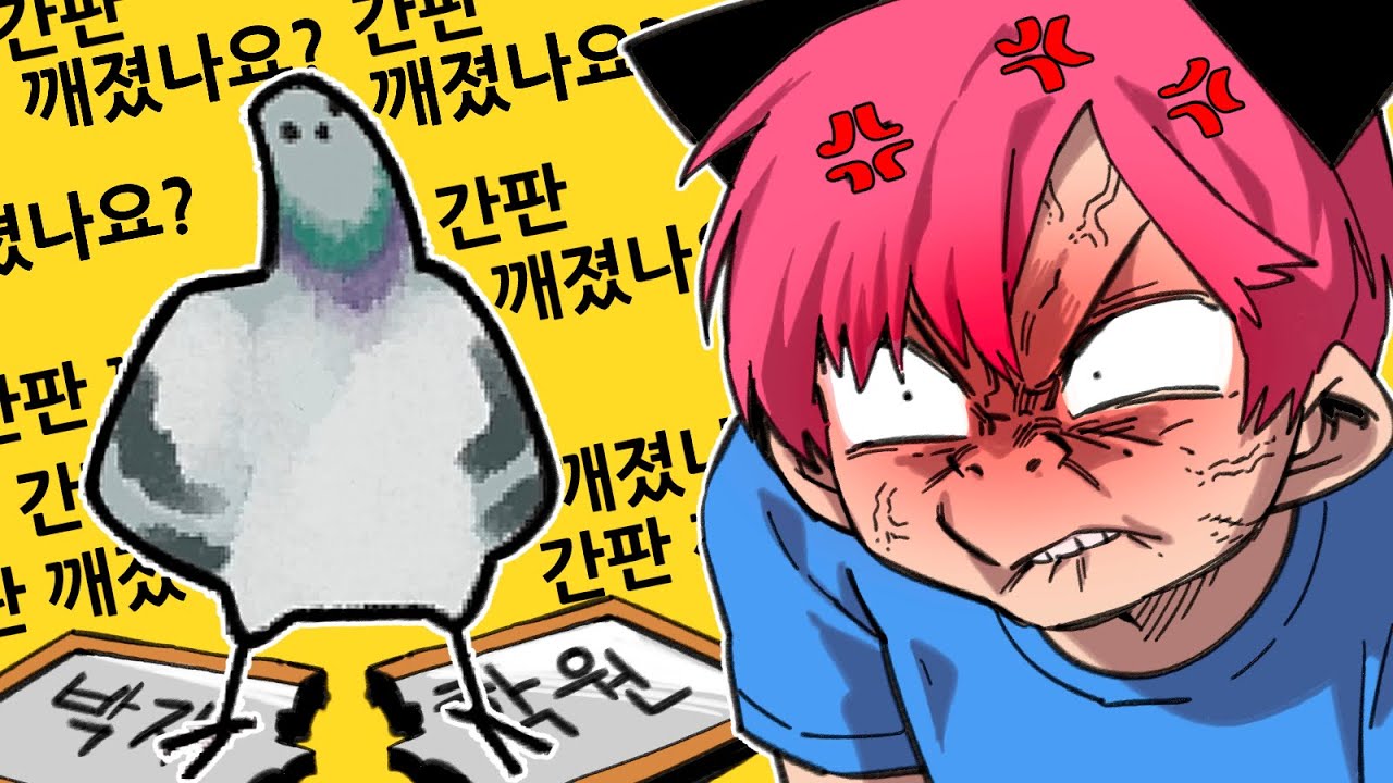 간판 깨러오는 수많은 비둘기들...