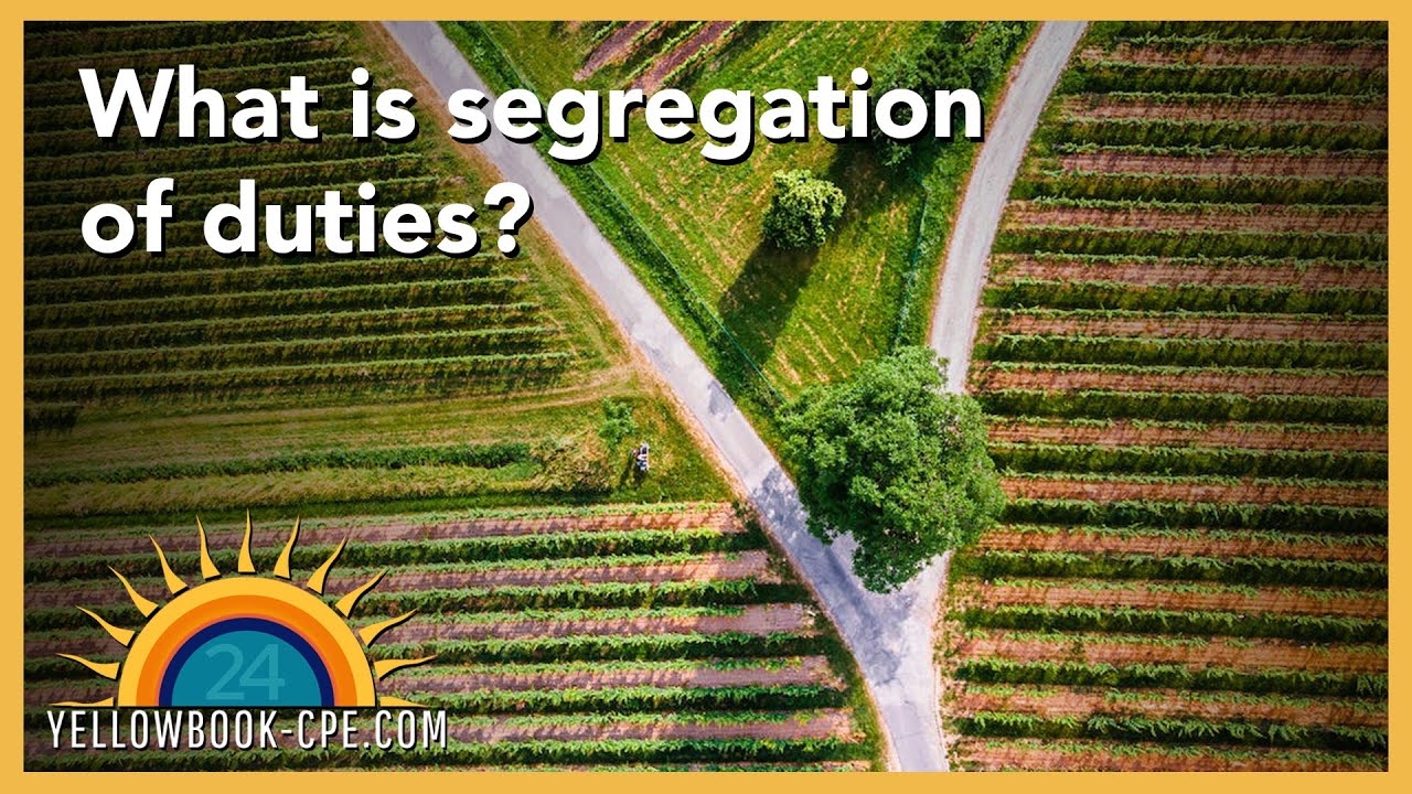 The Sample - What Is Segregation of Duties?