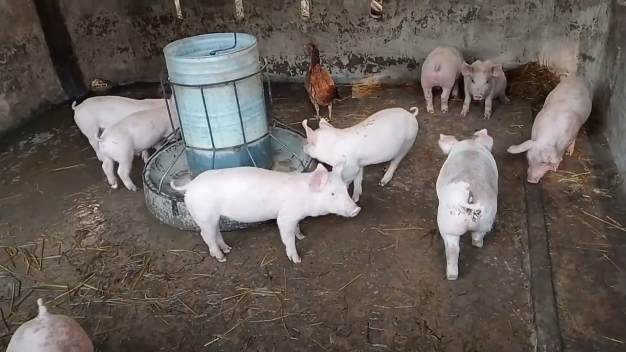 ชุดเก่าออกไปชุดใหม่เข้ามา25 มกราคมพ.ศ 69