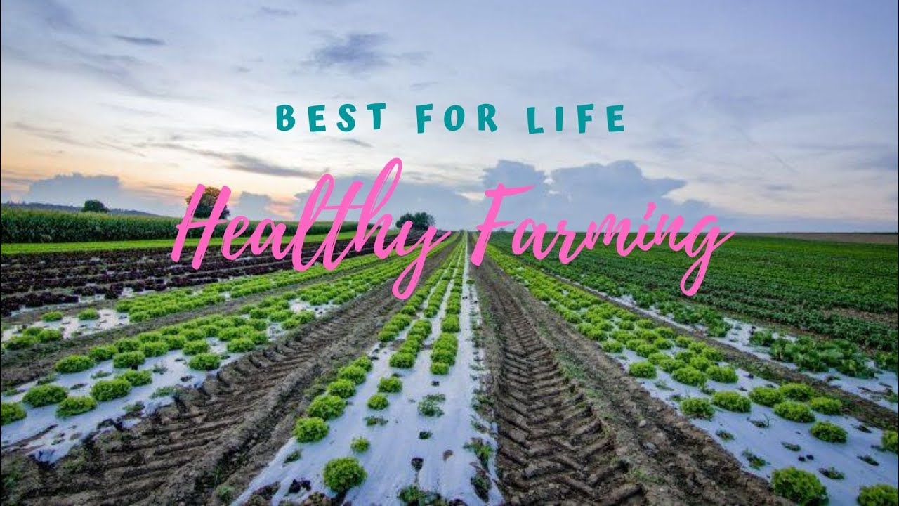 Binahon Agroforestry Farm (part1)