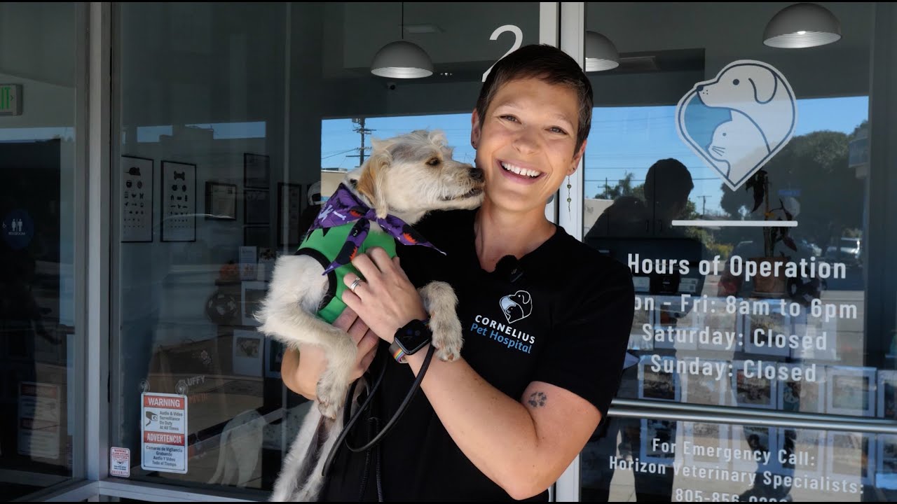 Ветеринарная клиника Cornelius Pet Hospital: новый экологически чистый бизнес в Вентуре.