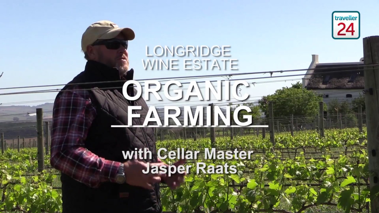 What you should know about organic wine farms