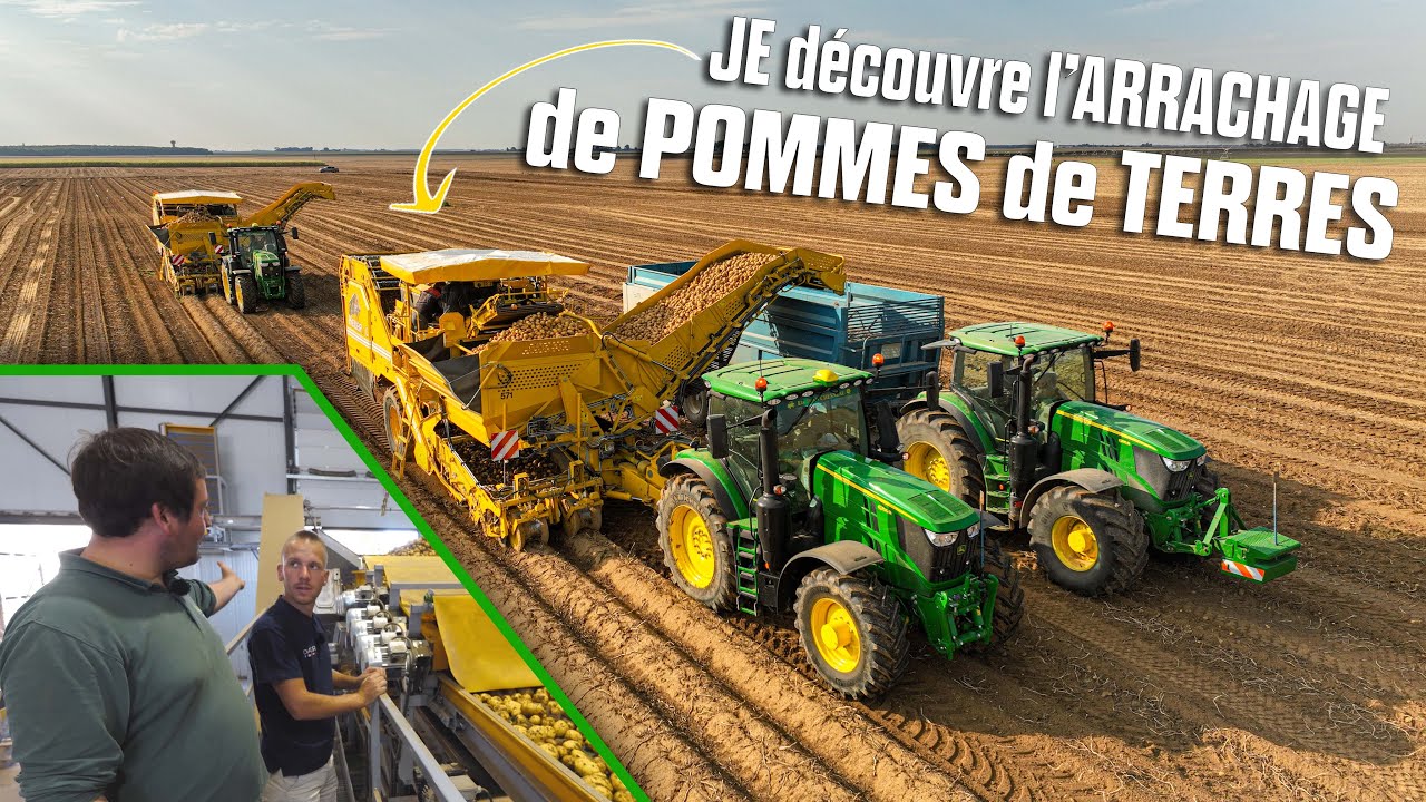 🤠🥔 TEAM 6R / ARRACHAGE de POMMES de TERRES 2022 / DOUBLE ROPA ! 🟡