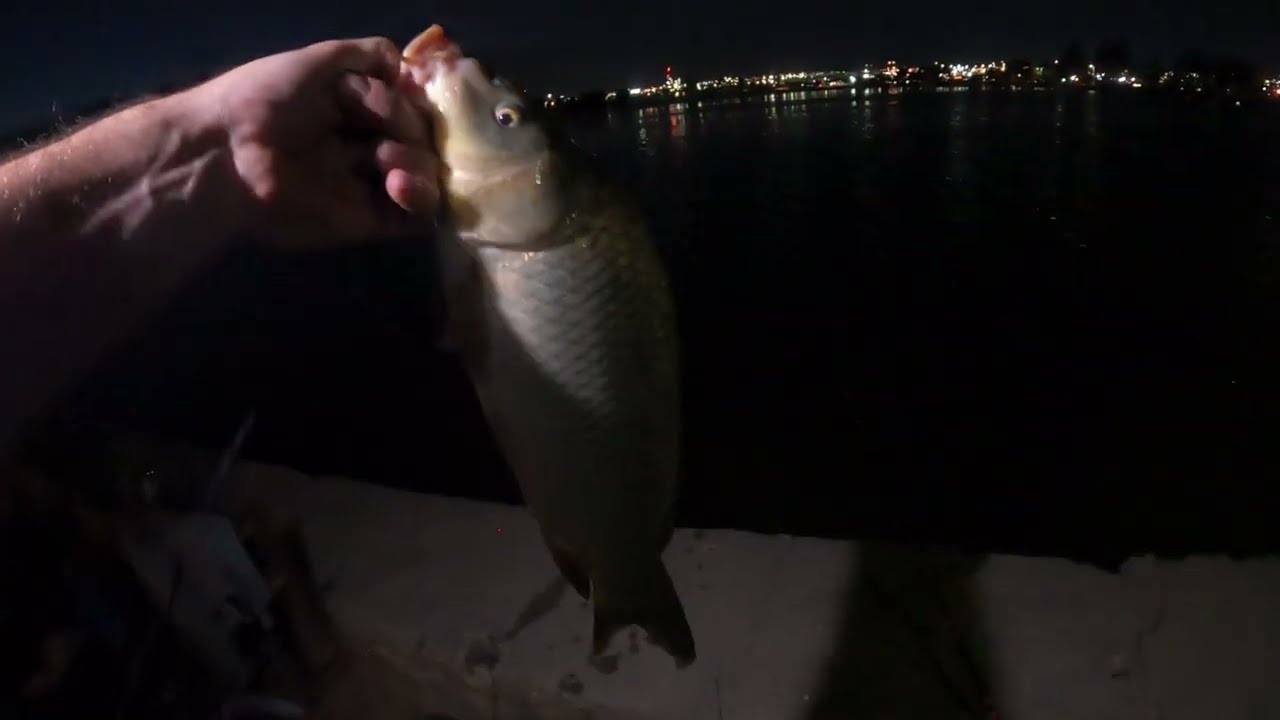 Fish Pulled Rod Into The Water!