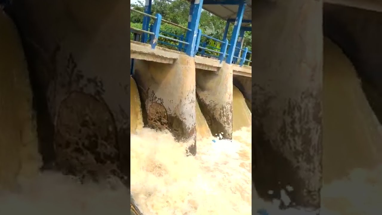Bendungan Cibunar setelah Hujan | Tiga pintunya dibuka ! Airnya Derass !! 😲 #shorts
