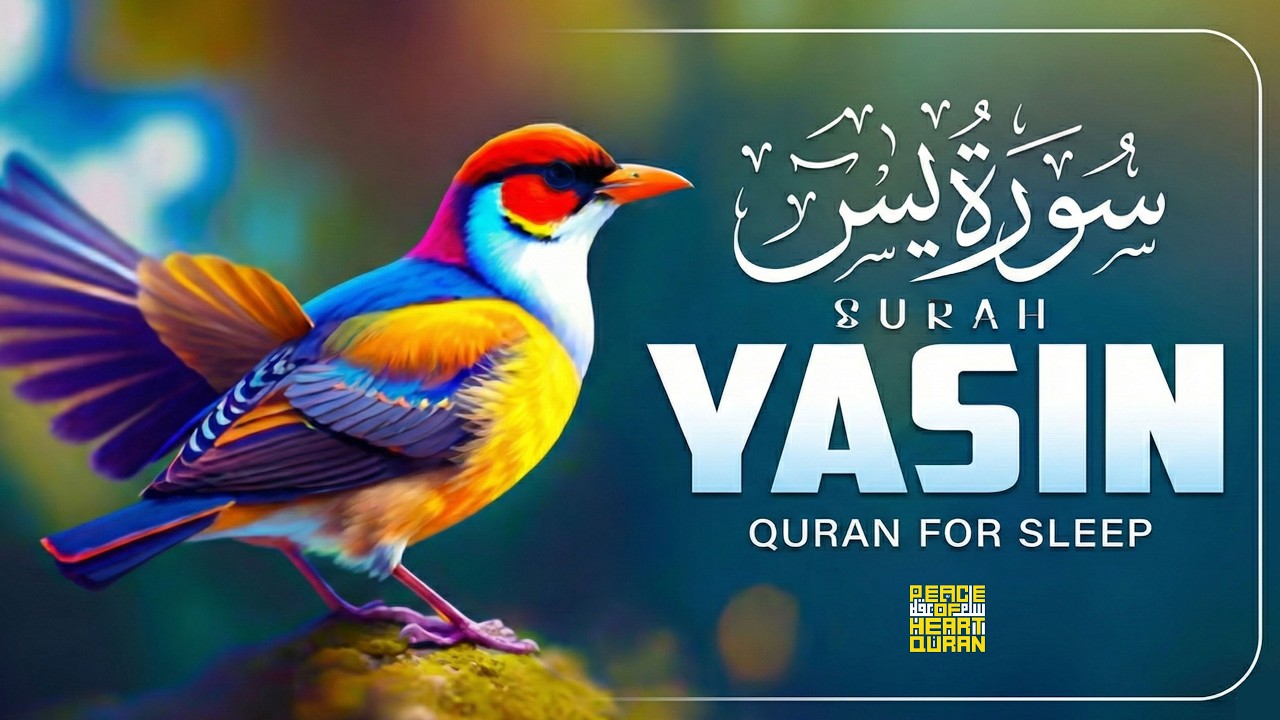 Ramadan Surah Yaseen (Yasin) سورة يس | Ultimate Relaxing Quran Will Touch Your Heart إن شاء الله