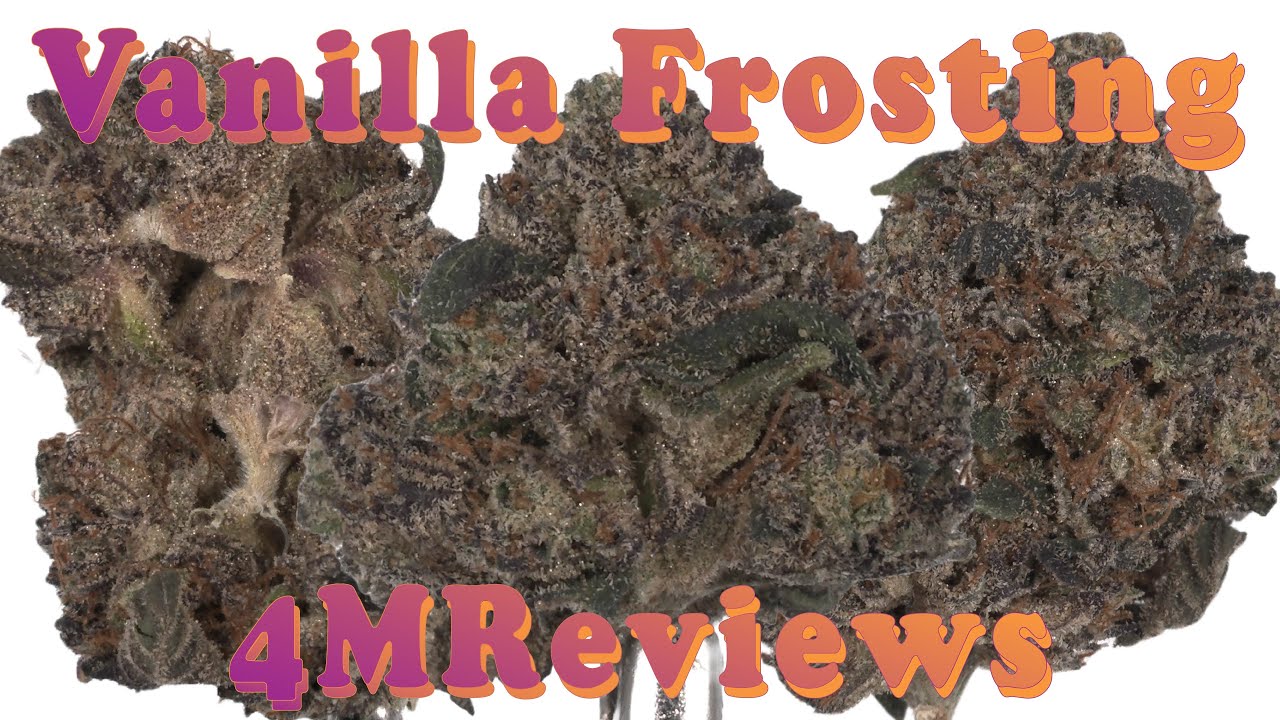 Vanilla Frosting🧁Cakey Goodness | Minnesota Medical Marijuana Review | Rise &Shine