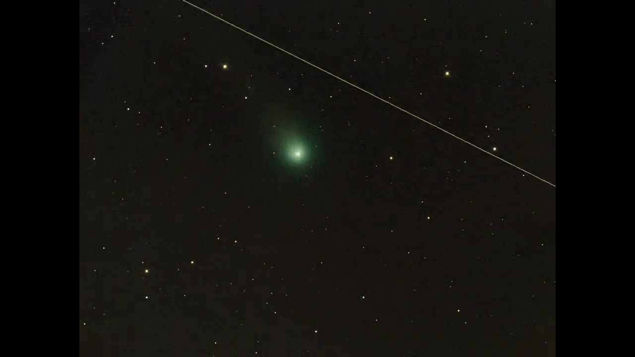 Comet C/2025 A6 (Lemmon), view from my backyard