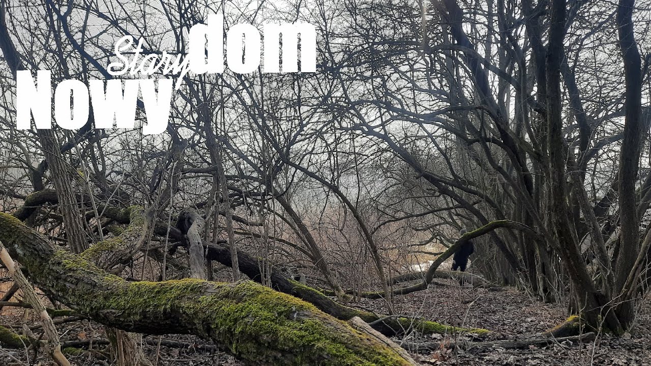 Remont domu nad Białą Przemszą // Nowy Stary Dom I