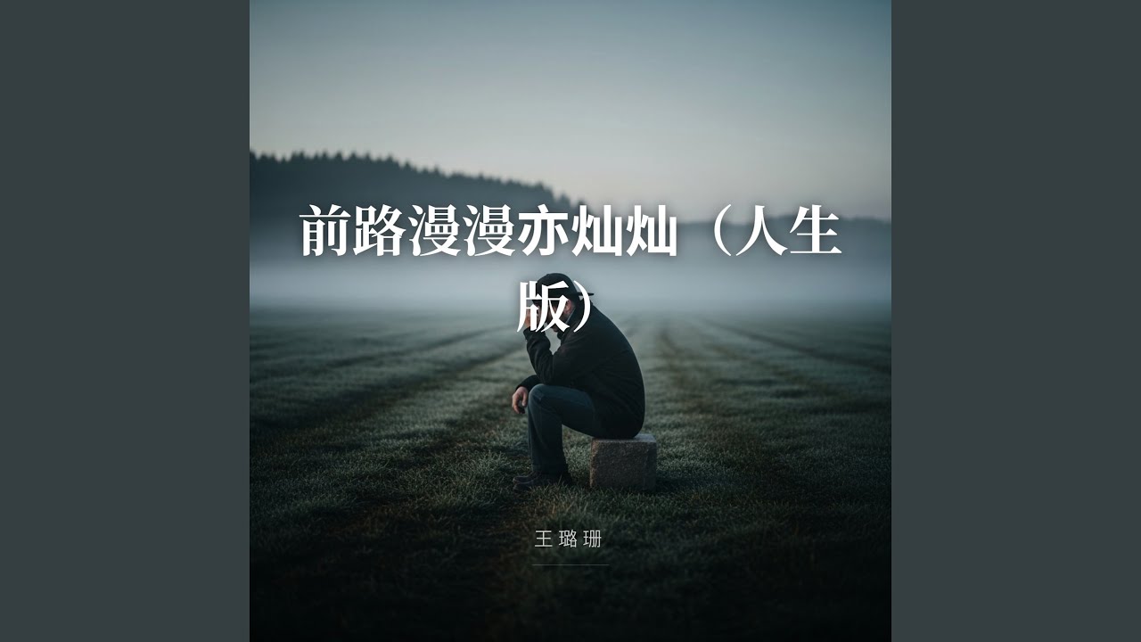 前路漫漫亦灿灿（人生版）