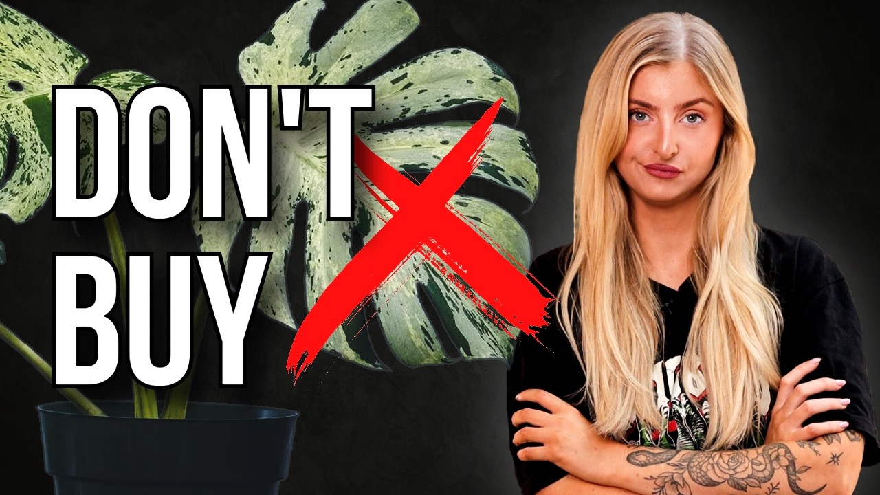 Houseplants You Should NOT Buy in 2026 (What Actually Makes Sense)
