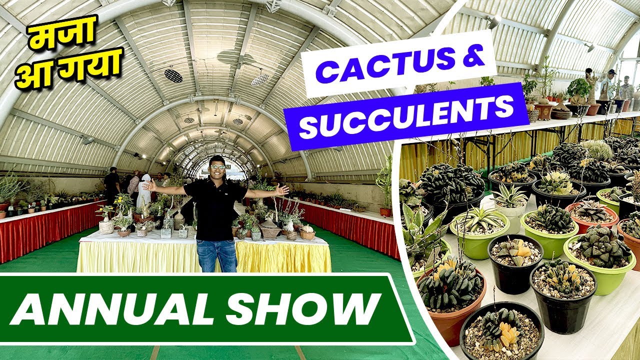 ये Exhibition दिल में बस जायेगा 😍 😍 | Cactus & Succulents Annual Show 🌵 🌵