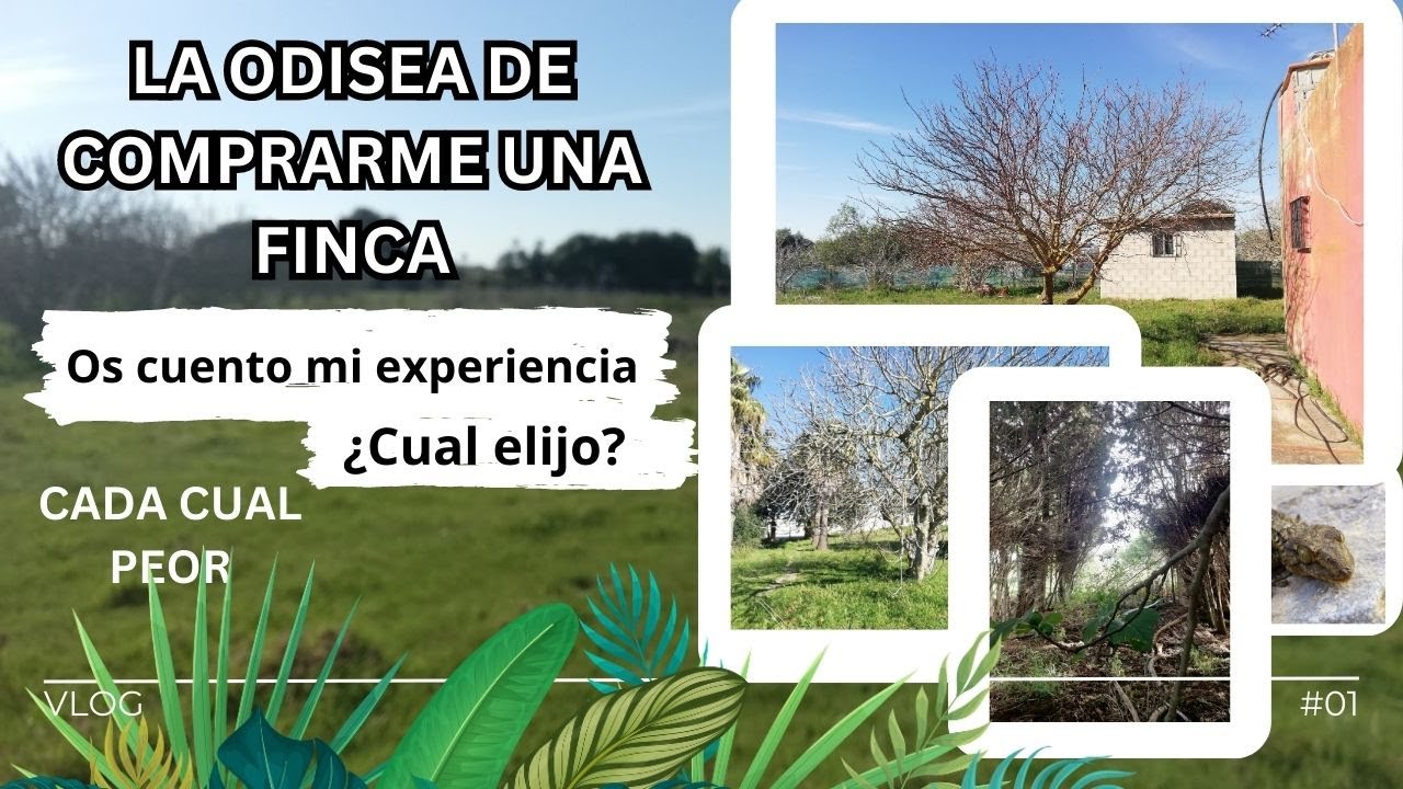 En la BÚSQUEDA de una FINCA, os las enseño y os cuento cómo elegí.