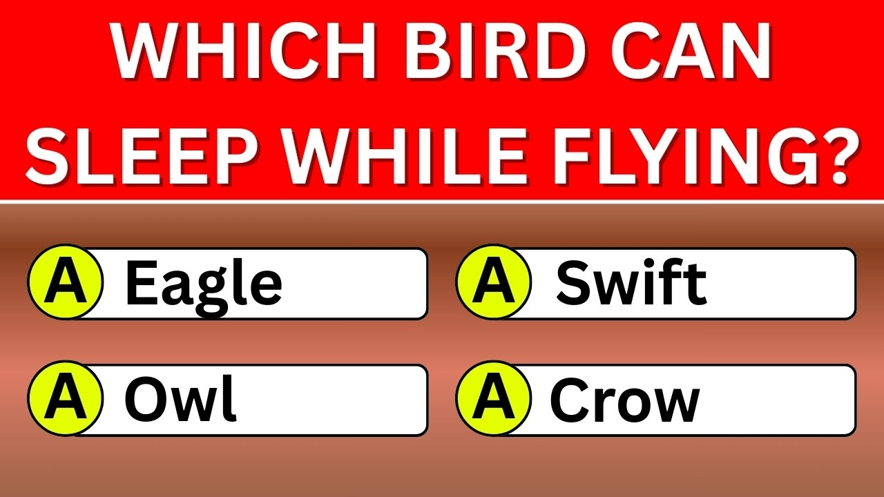 Can You Get 25 Out of 40 in This General Knowledge Quiz? 🧠🔥 | 40 Questions Challenge | Wisdom Daily