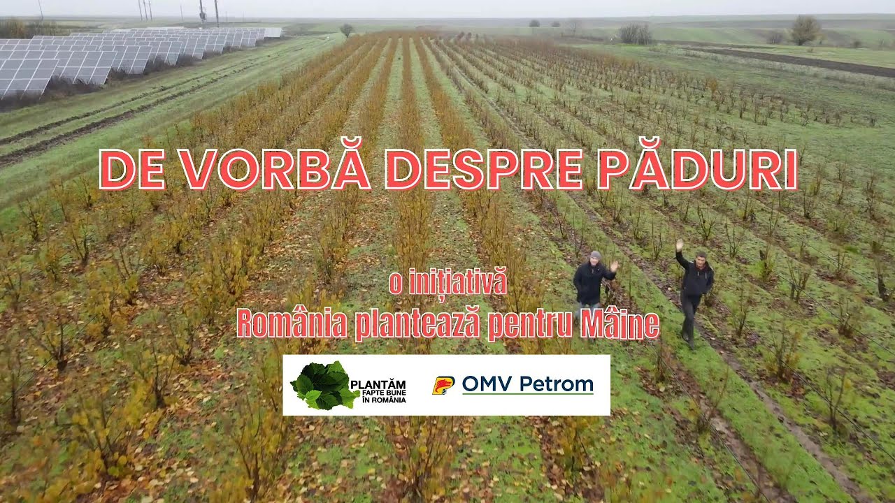 Pepiniera Drăghiceni