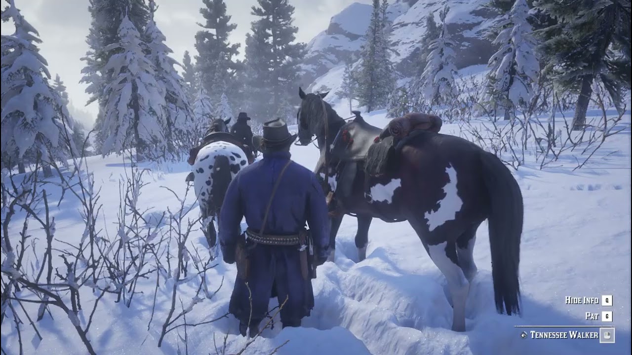 Red Dead Redemption 2 2025 08 26 22 43 21
