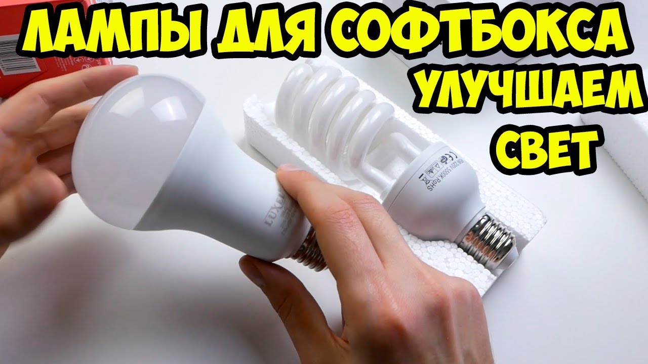 Лампы для софтбокса  Что лучше LED или экономки? Какие выбрать?