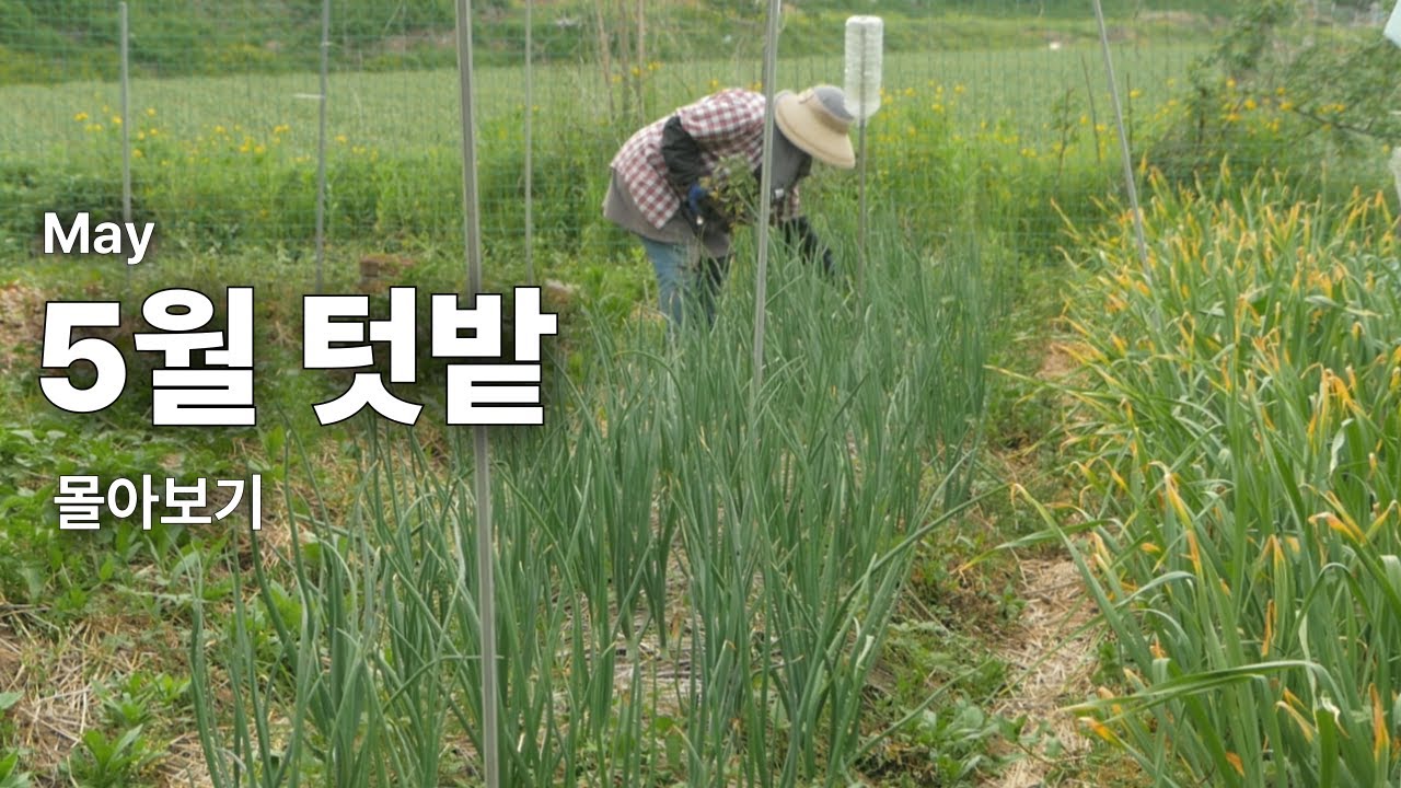[Майский обзор] Майские садовые культуры процветают в условиях низких и высоких температур