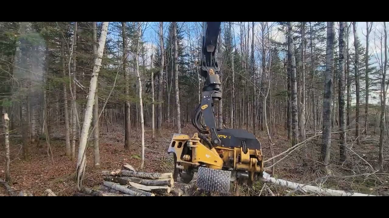 Tigercat 
