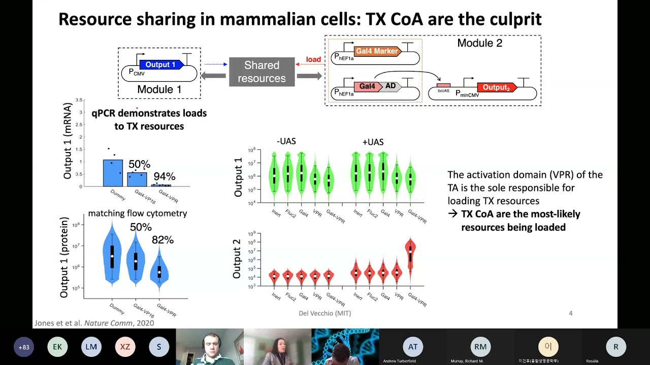 Domitilla Del Vecchio: Mitigation of context-dependence in mammalian synthetic biology