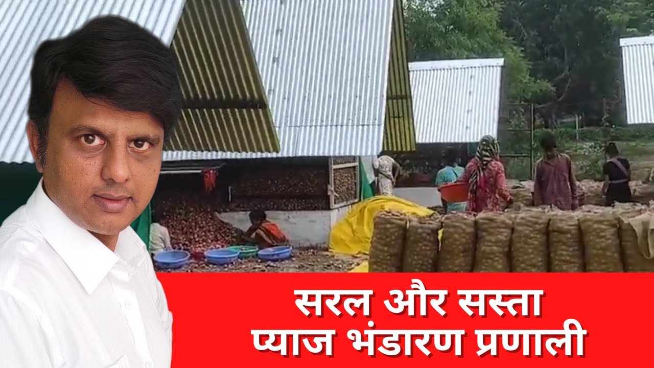 प्याज के लिए सरल भंडारण प्रणाली | Simple storage system for storing Summer Onion - GOODLUCK AGRO