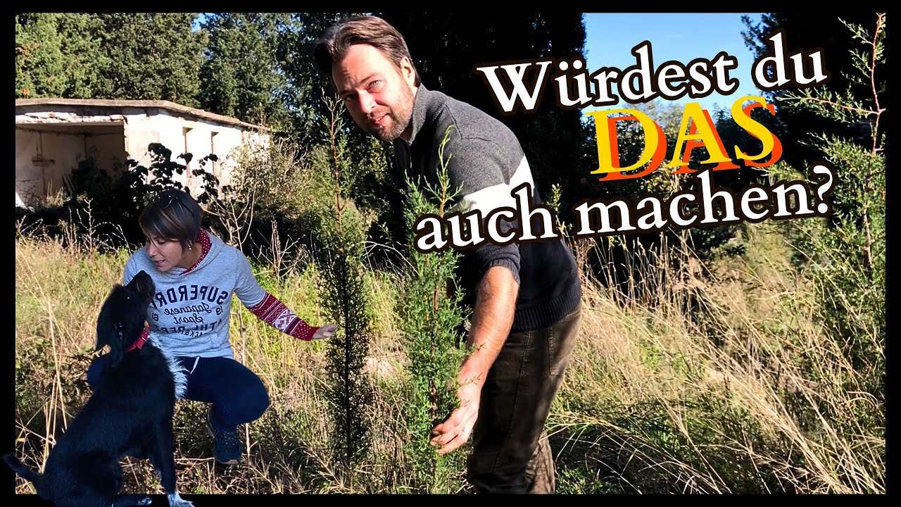 Ein spontaner Tagesausflug mit FETTER Beute #20
