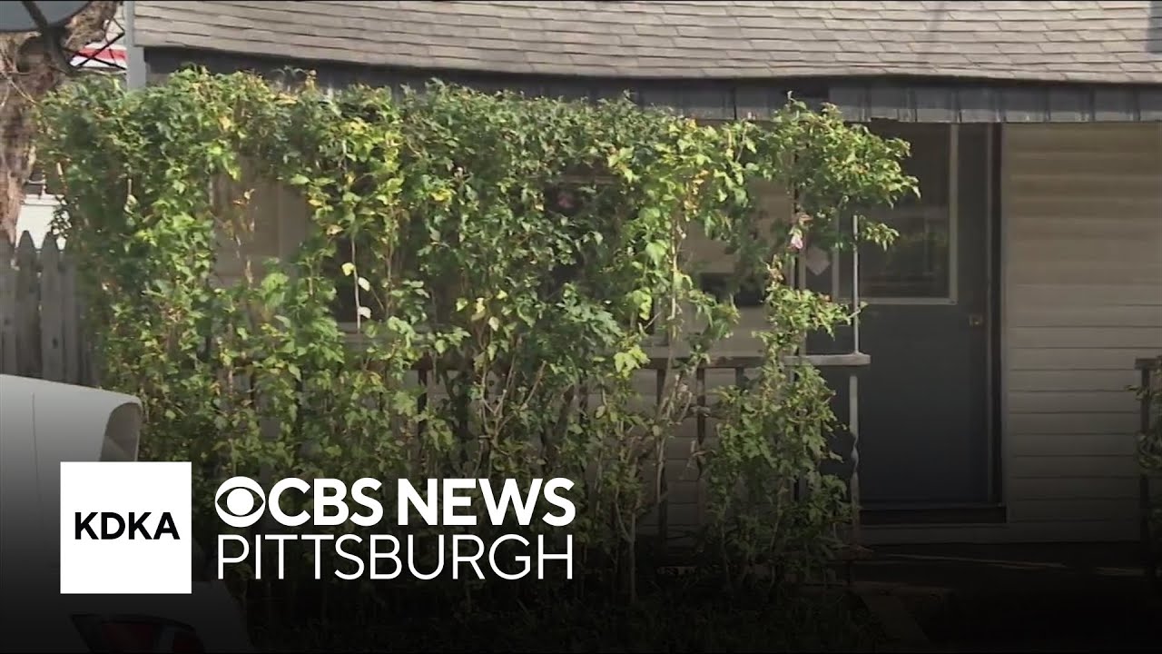 Sharpsburg property owner appears in court