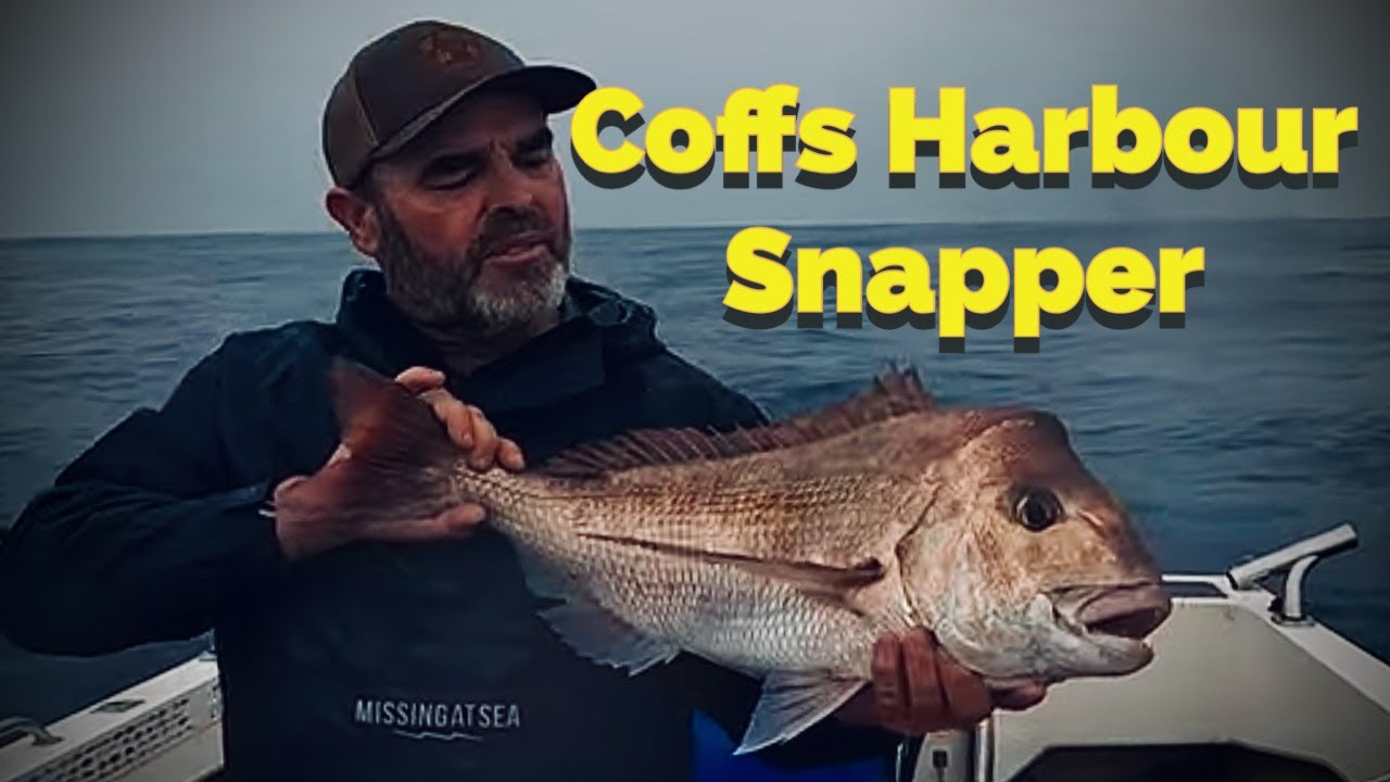 Fishing Coffs Harbour's Famous Snapper!