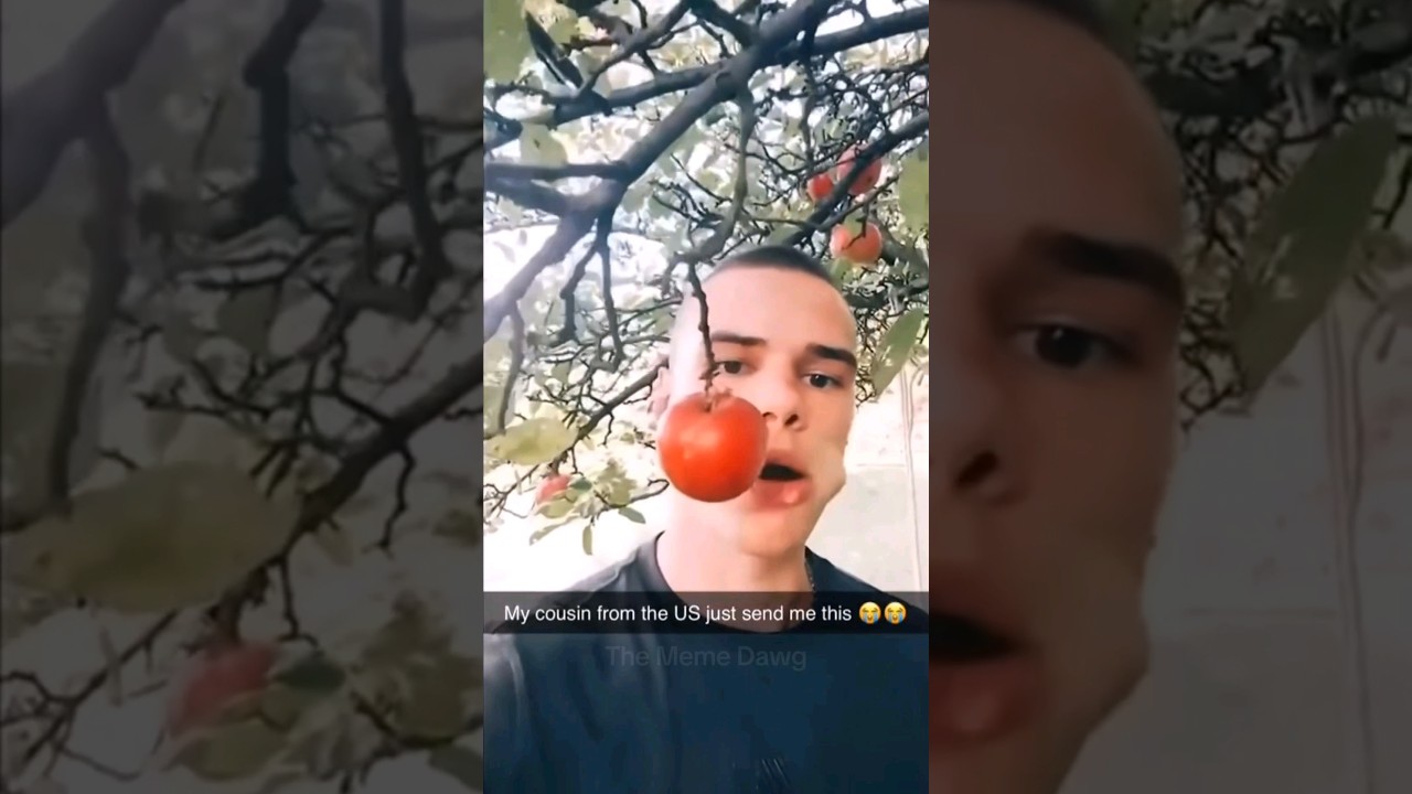 Just Some Memes