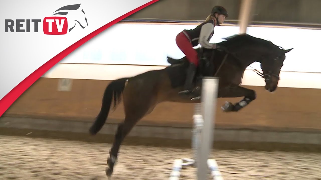 REITTV-Team Springen: Ann-Christin