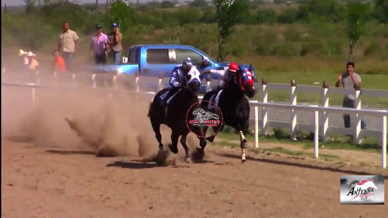 CORRIDO DEL MEZKALERO** CHUNNY GONZALEZ**