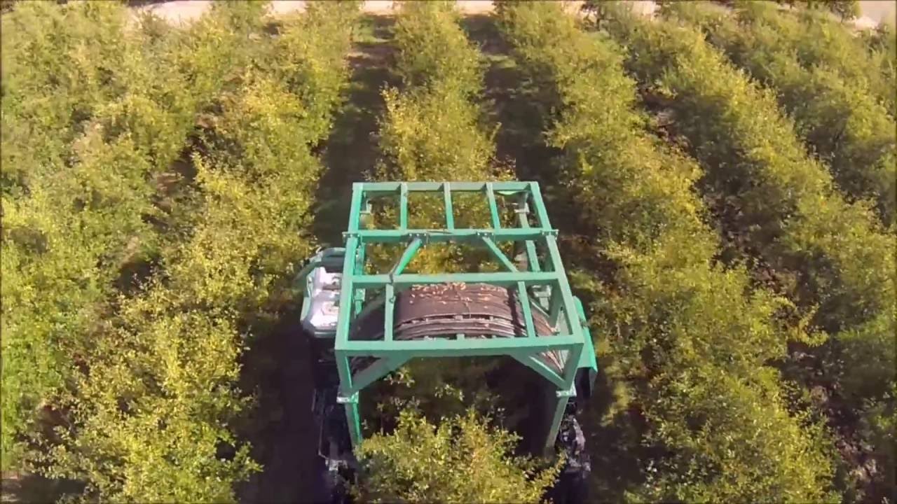 Enjambeur de récolte prunes 2016 drone orchard harvest plum