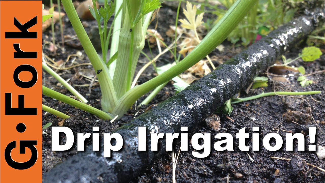 DIY Soaker Hose Drip Irrigation System - GardenFork