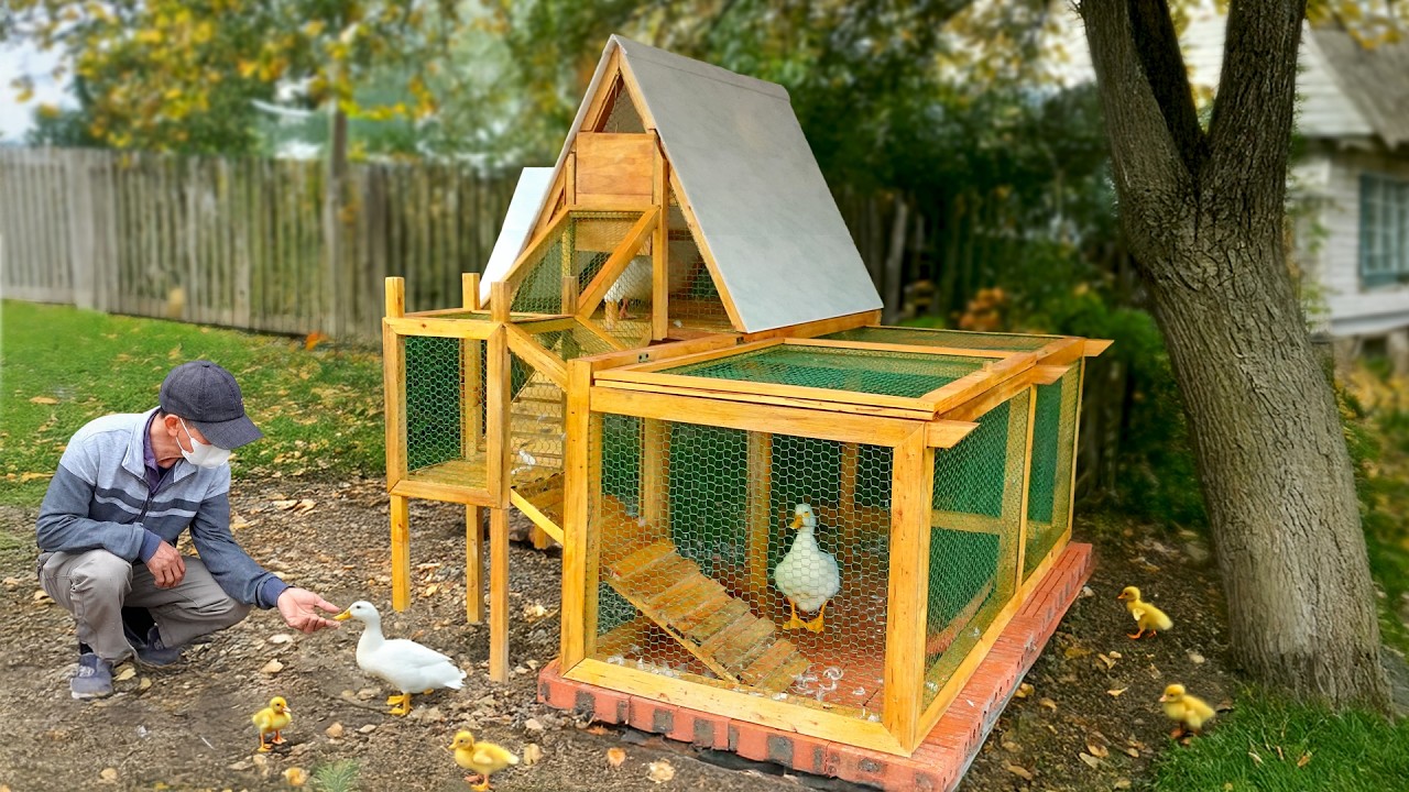Full steps to build budget friendly duck house from discarded wood
