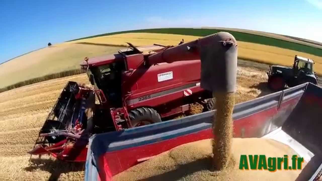 [PNJ] CASE IH 2365 &agrave; la moisson de l'escourgeon en 2015