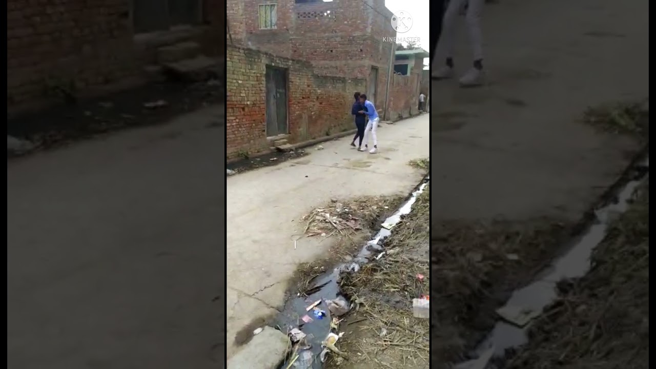 desi fight status