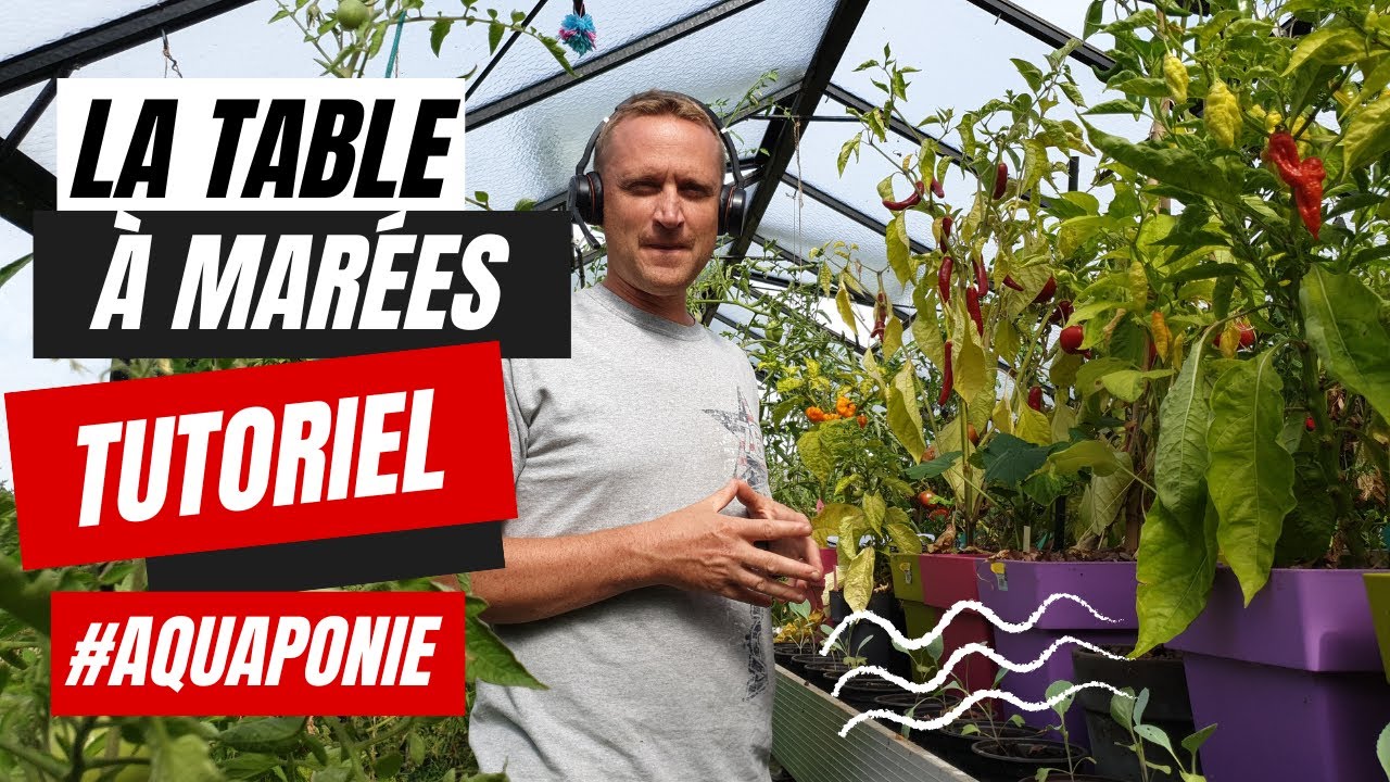 Tout savoir sur les table &agrave; mar&eacute;es en aquaponie