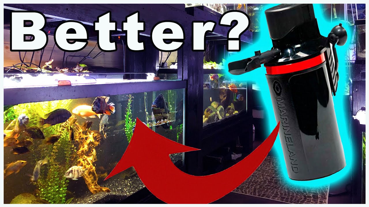 Internal Canister Filter Pros and Cons: What did this thing do to my TANK?