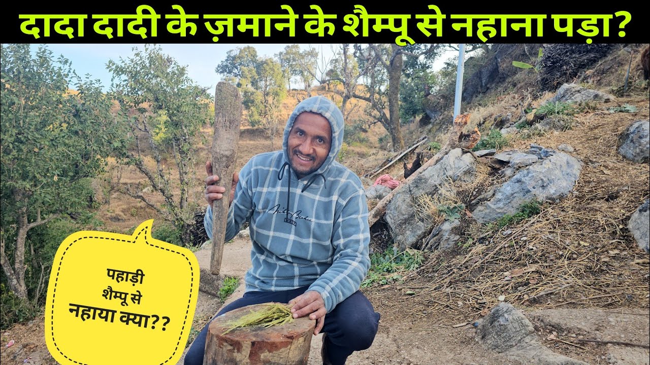 पहाड़ी शैम्पू से नहाया क्या || दादा दादी के ज़माने का शैम्पू || Video by. @yashpahadiofficial 