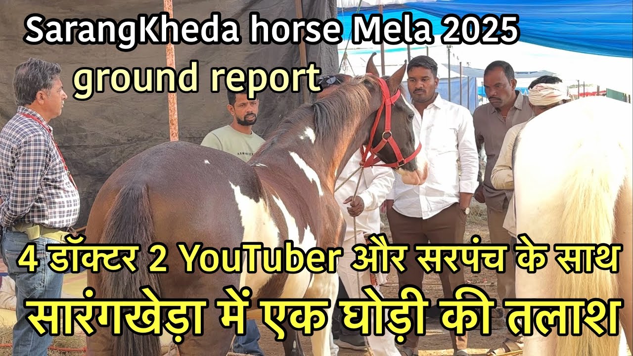 4 Doctors और Sarpanch की टीम के साथ सारंगखेड़ा में घोड़ी की तलाश! 🐴 | Sarangkheda Horse Mela 2025