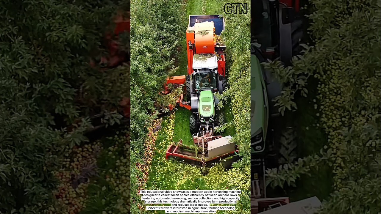 High-Tech Apple Harvesting Machine &ndash; Modern Orchard Productivity Boost!